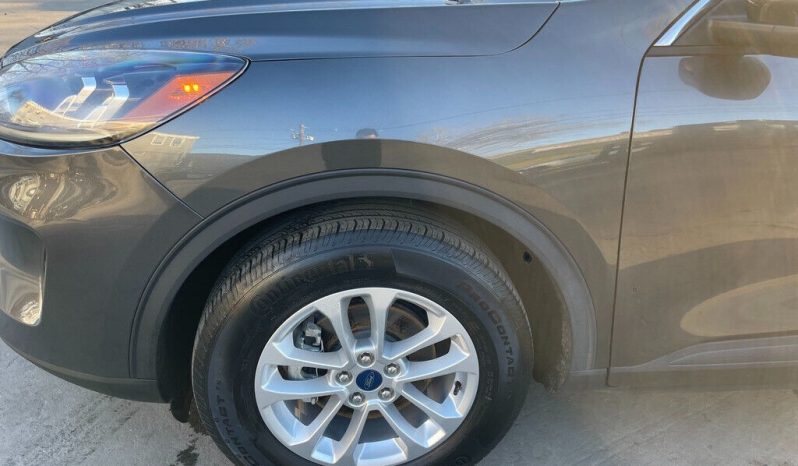 
								Used 2020 Ford Escape SE full									